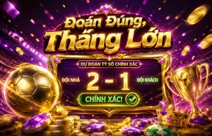 janicenorman thể thao live betting
